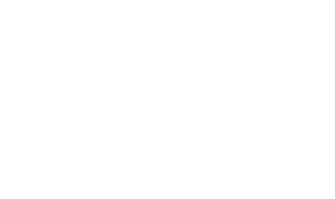Flite